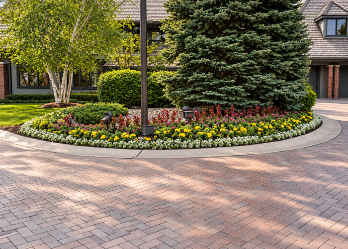 Tree & Shrub Care